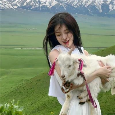 无法抗拒的男友们